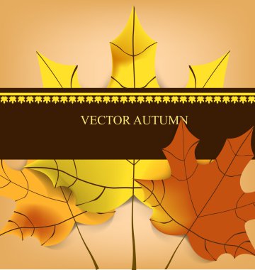 Sarı yapraklı sonbahar arkaplanı