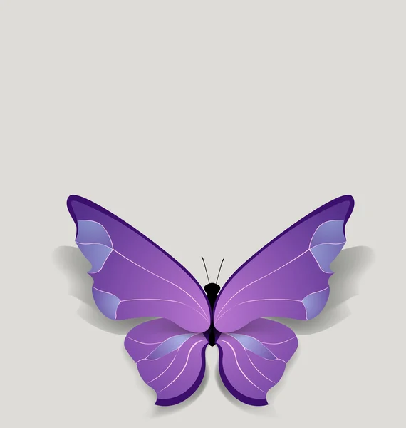 Bulk-Schmetterling auf reinem Hintergrund — Stockvektor