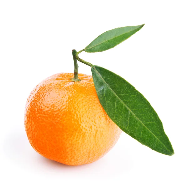Mandarina con hojas aisladas en blanco — Foto de Stock