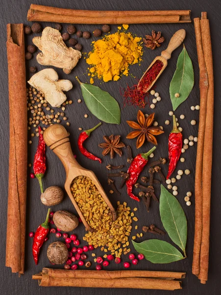 Stilleben med kryddor och örter i ramen — Stockfoto