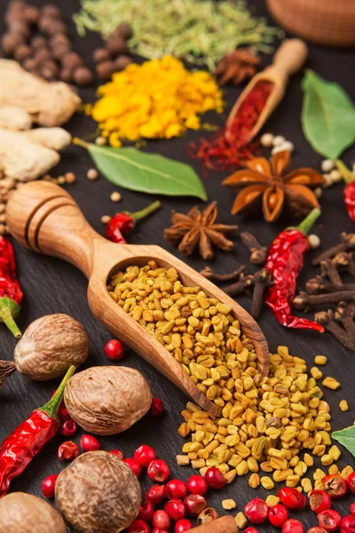 Still life with different spices and herbs — Stock Photo, Image