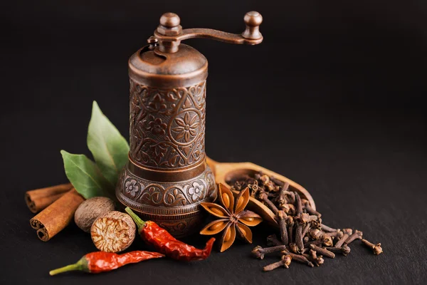 Dark still-life with different spices and retro pepper mill — Stock Photo, Image