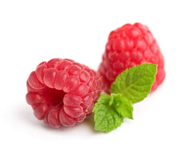 Frische reife Himbeeren mit Minze Blätter isoliert auf weiss — Stockfoto