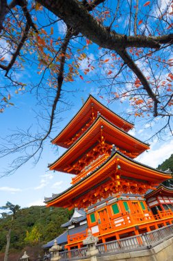 Japnese Tapınağı Kiyomizu dera Kyoto.