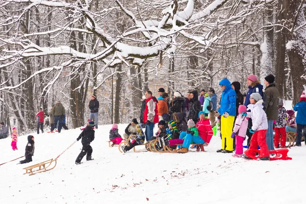 Inverno divertido, neve, família trenó na hora de inverno . — Fotografia de Stock