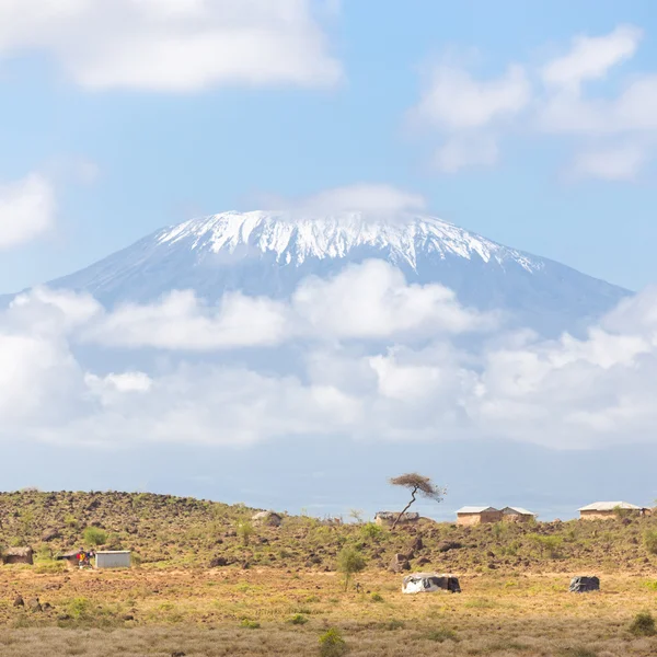 Kilimangiaro con vista sulla savana africana . — Foto Stock