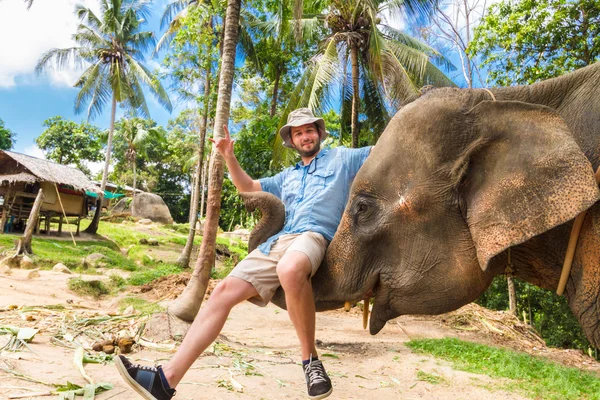 Elephan bir turist kaldırma. — Stok fotoğraf