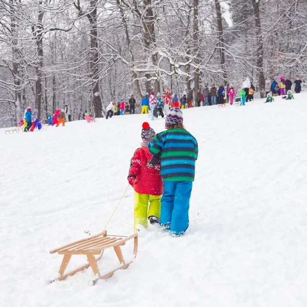 Winter fun, kinderen rodelen op wintertijd. — Stockfoto