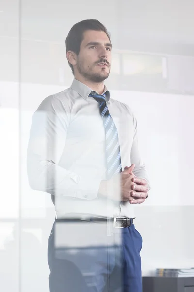 Presentación de negocios sobre reunión corporativa. — Foto de Stock