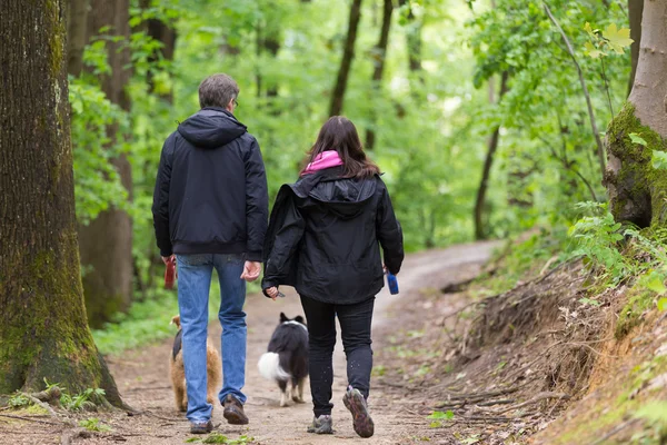 Ehepaar geht mit zwei Hunden im Wald spazieren — Stockfoto