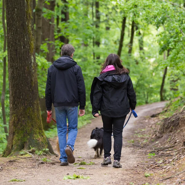 Casal caminhando seus dois cães na floresta — Fotografia de Stock