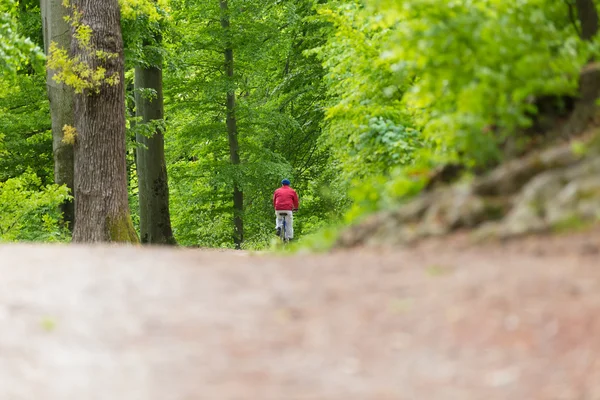 Велосипедиста їзда Bycicle лісовими стежками. — стокове фото