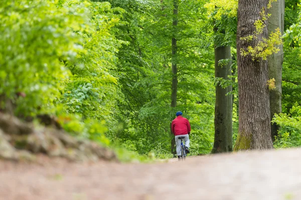 Cyklista na koni vybudovaná na lesní stezka. — Stock fotografie