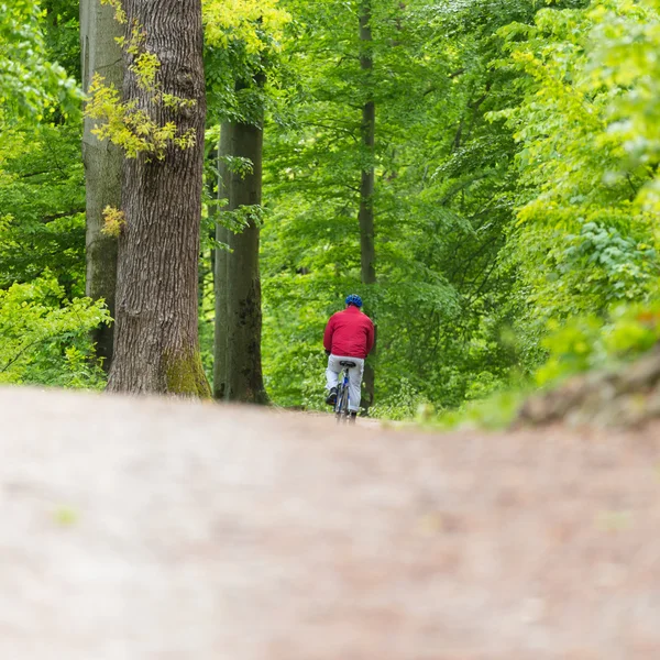 Cyclist Riding Bycicle on Forest Trail. — Stock Photo, Image