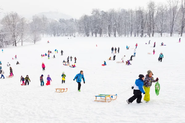 Inverno divertido, neve, família trenó na hora de inverno . — Fotografia de Stock