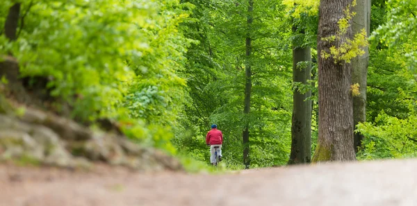 Radfahrer rast auf Waldweg. — Stockfoto