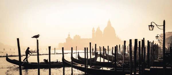 Romantic Italian city of Venice, a World Heritage Site: παραδοσιακά βενετσιάνικα ξύλινα σκάφη, gondolier και Ρωμαιοκαθολική εκκλησία Βασιλική της Santa Maria della Salute στο ομιχλώδες φόντο — Φωτογραφία Αρχείου