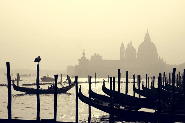 Romantiska italienska staden Venedig, ett världsarv: traditionella venetianska träbåtar, gondolier och romersk-katolska kyrkan Basilica di Santa Maria della Salute i dimmig bakgrund — Stockfoto