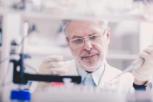 Científico de vida masculino senior investigando en el laboratorio. —  Fotos de Stock