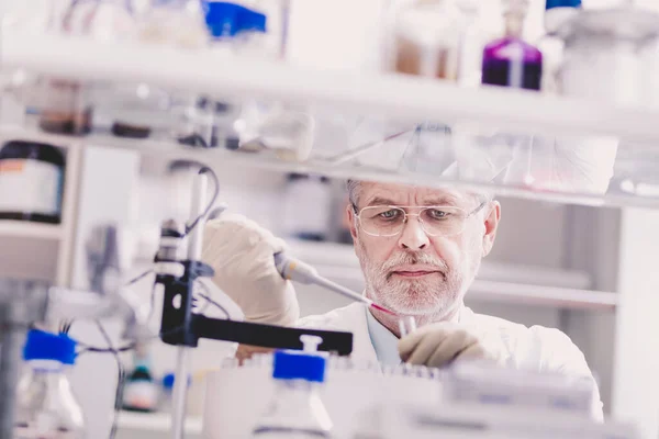 Cientista da vida masculina sênior pesquisando no laboratório. — Fotografia de Stock