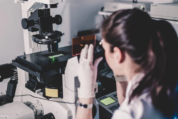 Microscopía del investigador en ciencias biológicas en laboratorio científico genético. — Foto de Stock