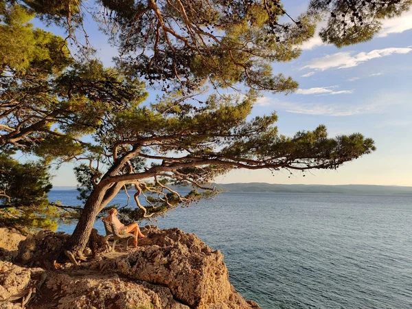 Mujer pensativa de vacaciones, sentada y relajada bajo un gran pino en el banco por el mar azul dip disfrutando de la hermosa luz del atardecer en Brela, región de Makarska, Dalmacia, Croacia — Foto de Stock