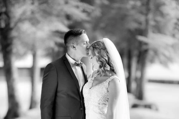 Noivo abraçando noiva ternamente e beija-la na testa durante foto tiro no parque. — Fotografia de Stock