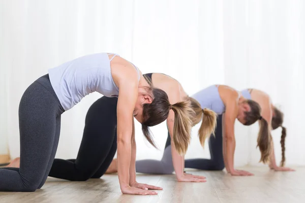 Група молодих спортивних жінок в студії йоги, що практикує йогу. Здоровий активний спосіб життя, що працює в приміщенні в спортзалі — стокове фото