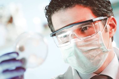 Bilim adamı petri kabını inceliyor.