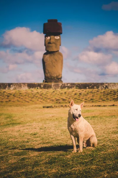 Moai på Ahu Tongariki, Påskön, Chile. — Stockfoto