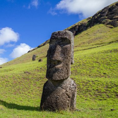 Rano Raraku 'daki Moai taş heykelleri, Paskalya Adası, Şili.