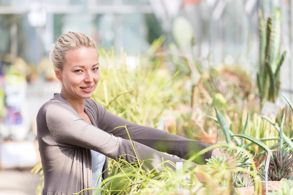 Florister kvinna som arbetar i växthus. — Stockfoto