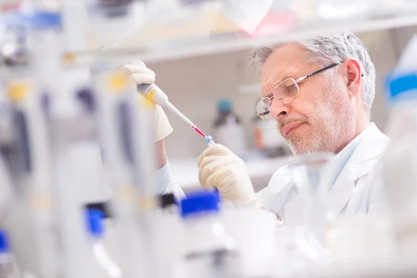 Life scientist researching in the laboratory. — Stock Photo, Image