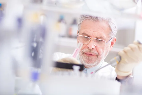 Life scientist researching in the laboratory. — Stock Photo, Image