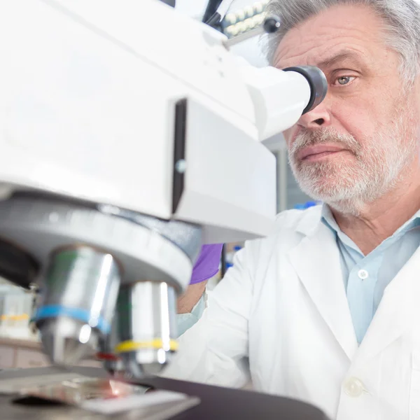 Senior scientist  microscoping in lab. — Stock Photo, Image