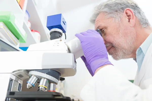 Microscopía científica senior en laboratorio. — Foto de Stock