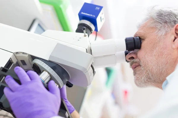 Senior scientist  microscoping in lab. — Stock Photo, Image