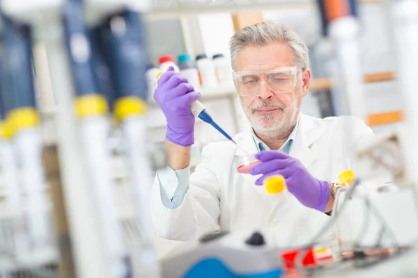 Científico de la vida investigando en el laboratorio. — Foto de Stock