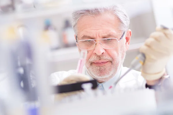 Cientista da vida pesquisando no laboratório. — Fotografia de Stock