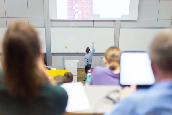 Lecture at university. — Stock Photo, Image