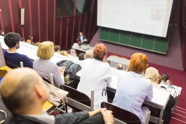 Lecture at university. — Stock Photo, Image