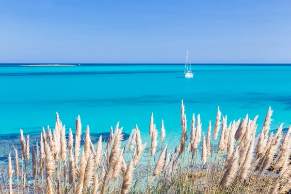 Pláží Pelosa, Sardinie, Itálie. — Stock fotografie