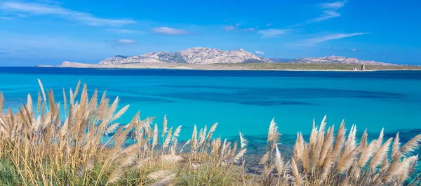 Playa de Pelosa, Cerdeña, Italia . — Foto de Stock