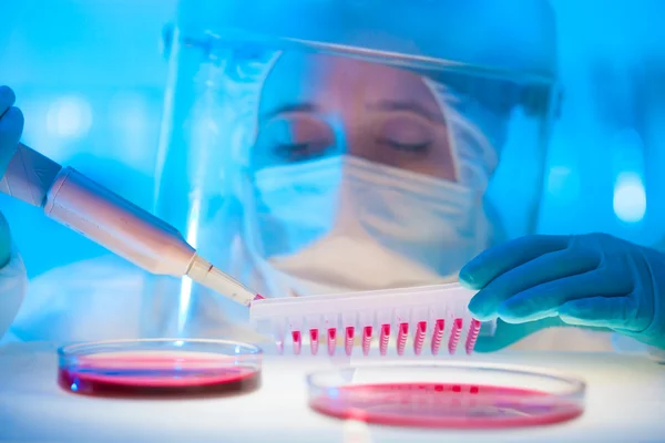 Working in the laboratory with a high degree of protection — Stock Photo, Image