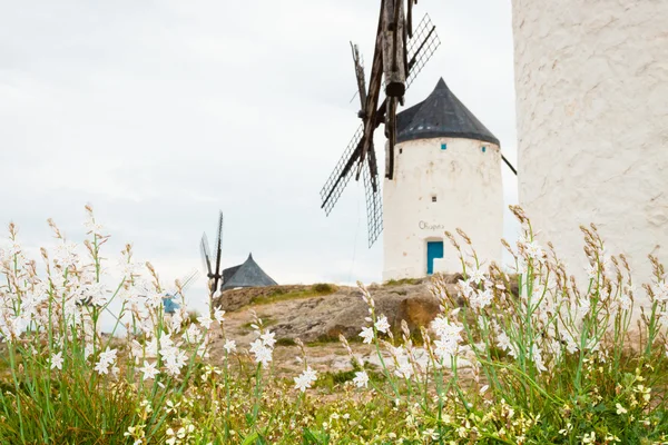 Vintage väderkvarnar i La Mancha. — Stockfoto