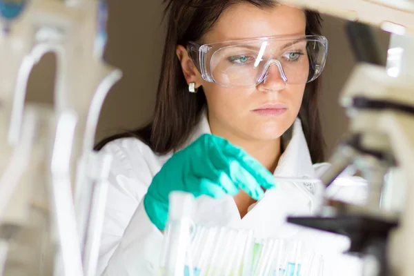 Young chemist in the laboratory. — Stock Photo, Image