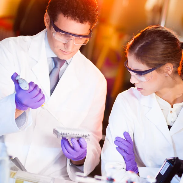 Scientist pipetting. — Stock Photo, Image