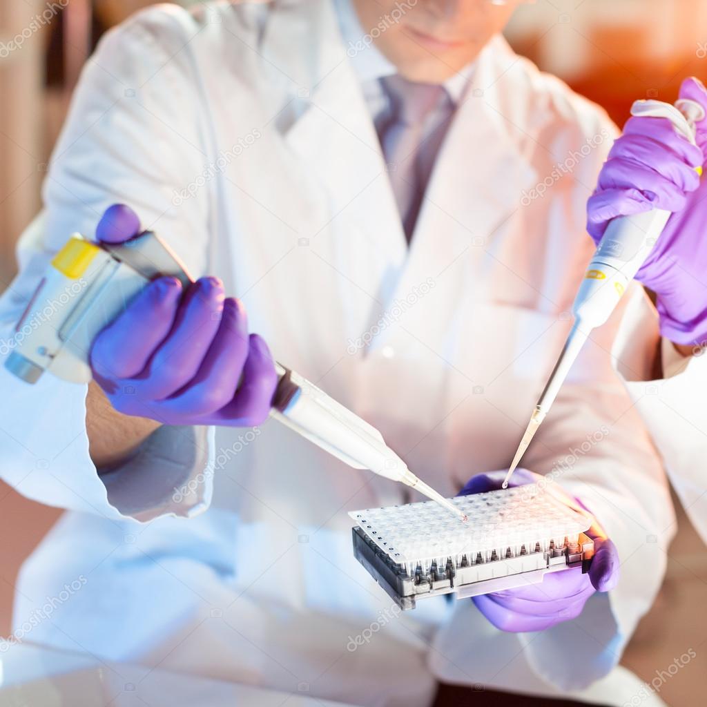 Multi channel pipette pipetting. Stock Photo by ©kasto 57824627