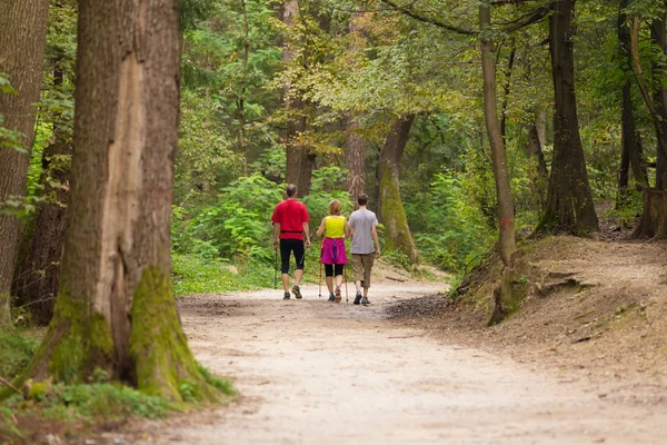 Familie wandelen in het bos — Stockfoto