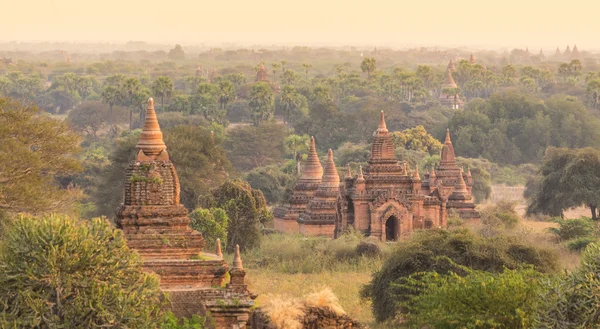 Tamples of Bagan, Birmania, Myanmar, Asia. — Foto Stock